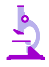 OE-TEC-Estudios-8M